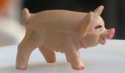 goldman-sachs-pig2